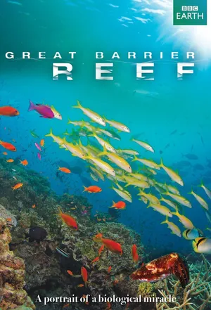 Great barrier reef Great barrier reef